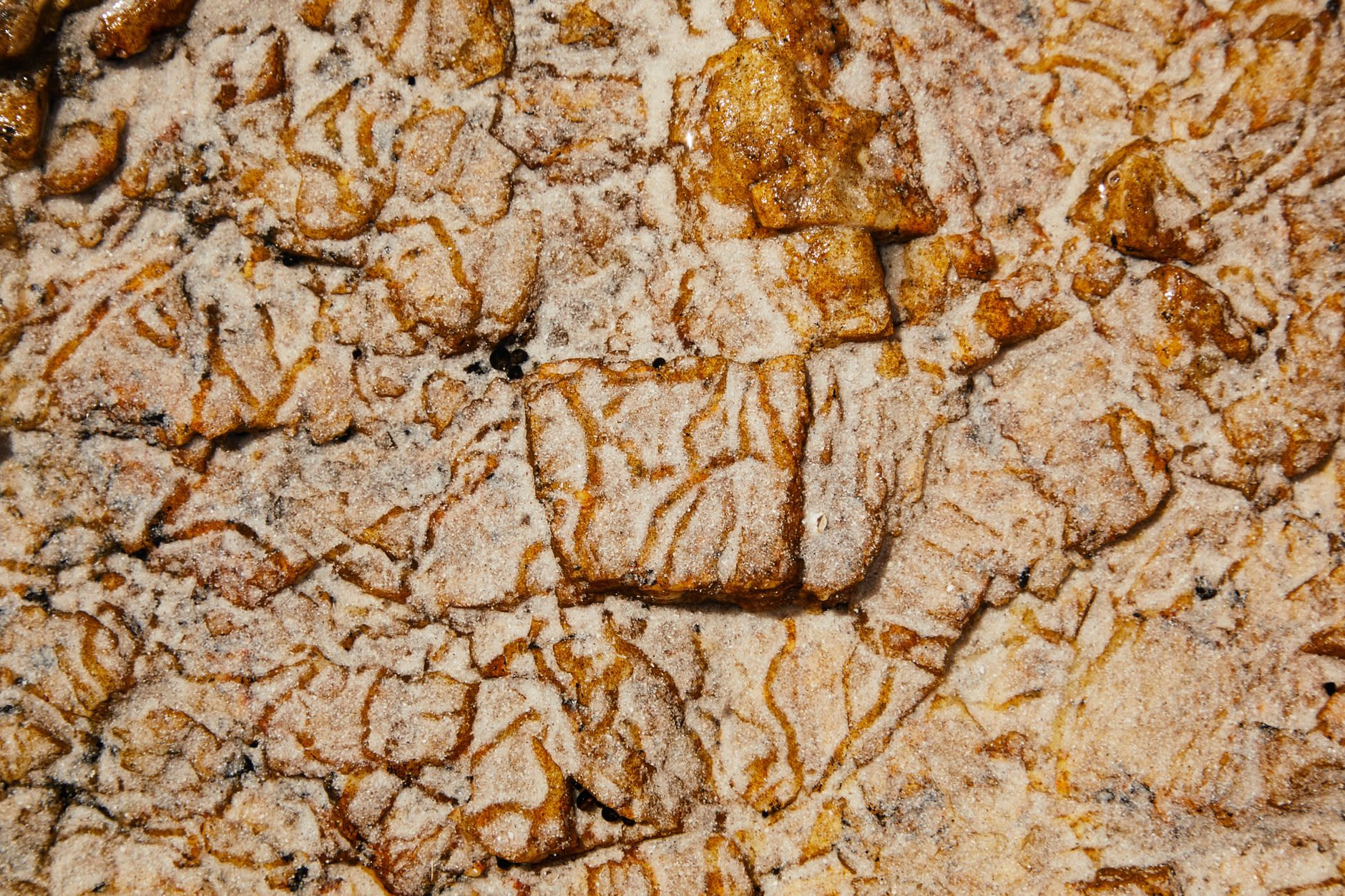 Ambra nei profumi: cosa significa davvero