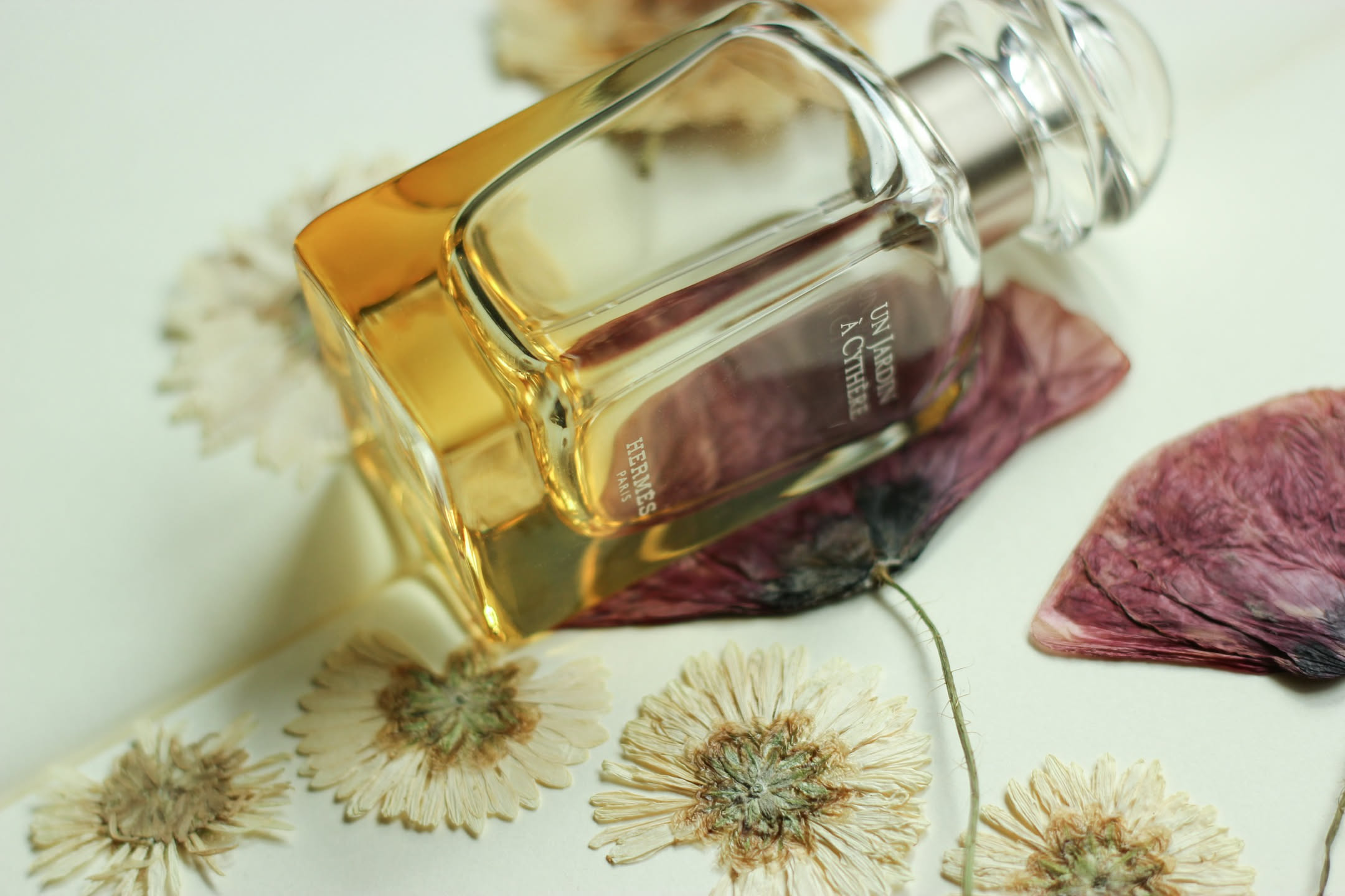 Fiori d'arancio bianchi appena raccolti accanto a un vaso di vetro e a un cucchiaio di miele
